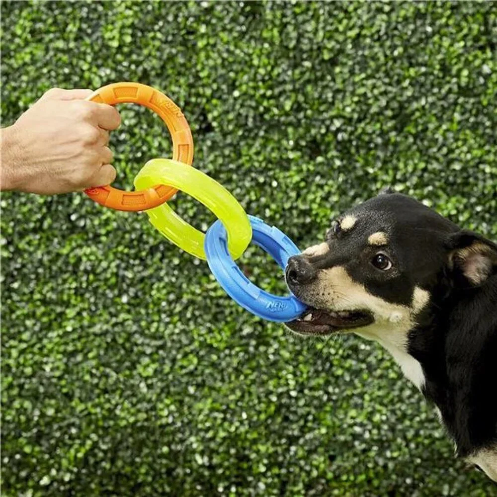 3-Ring Tuff Tug Dog Toy for Medium/Large Dogs, 10.5” - Picture 4 of 5
